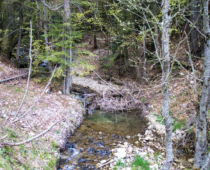 ruisseau fin okjpg